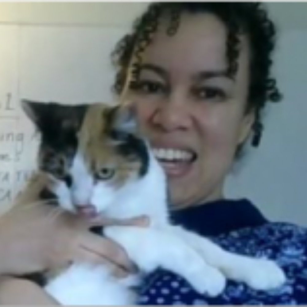 Meet your Posher, Calico